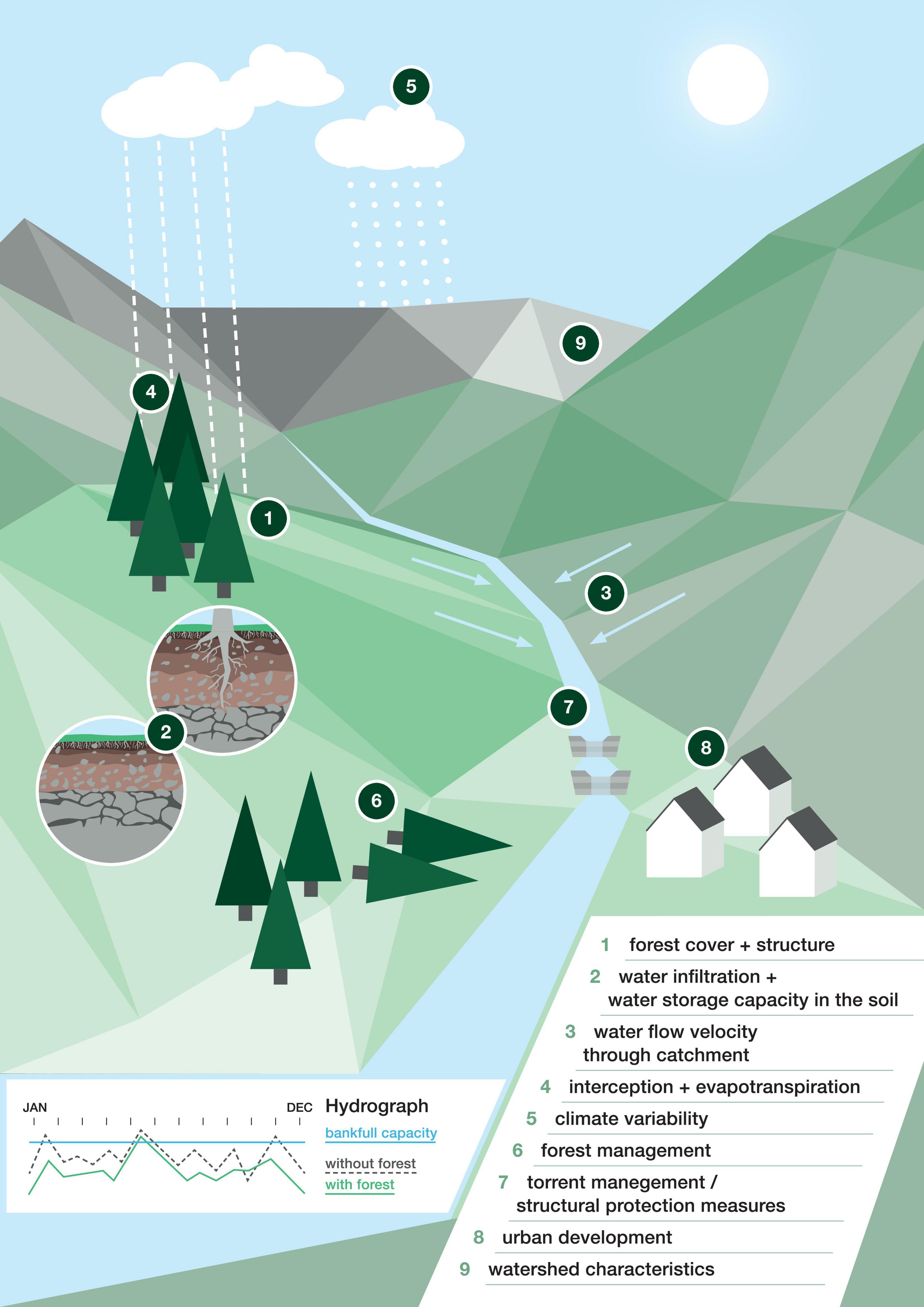 The effects of climate and forest cover variability on the