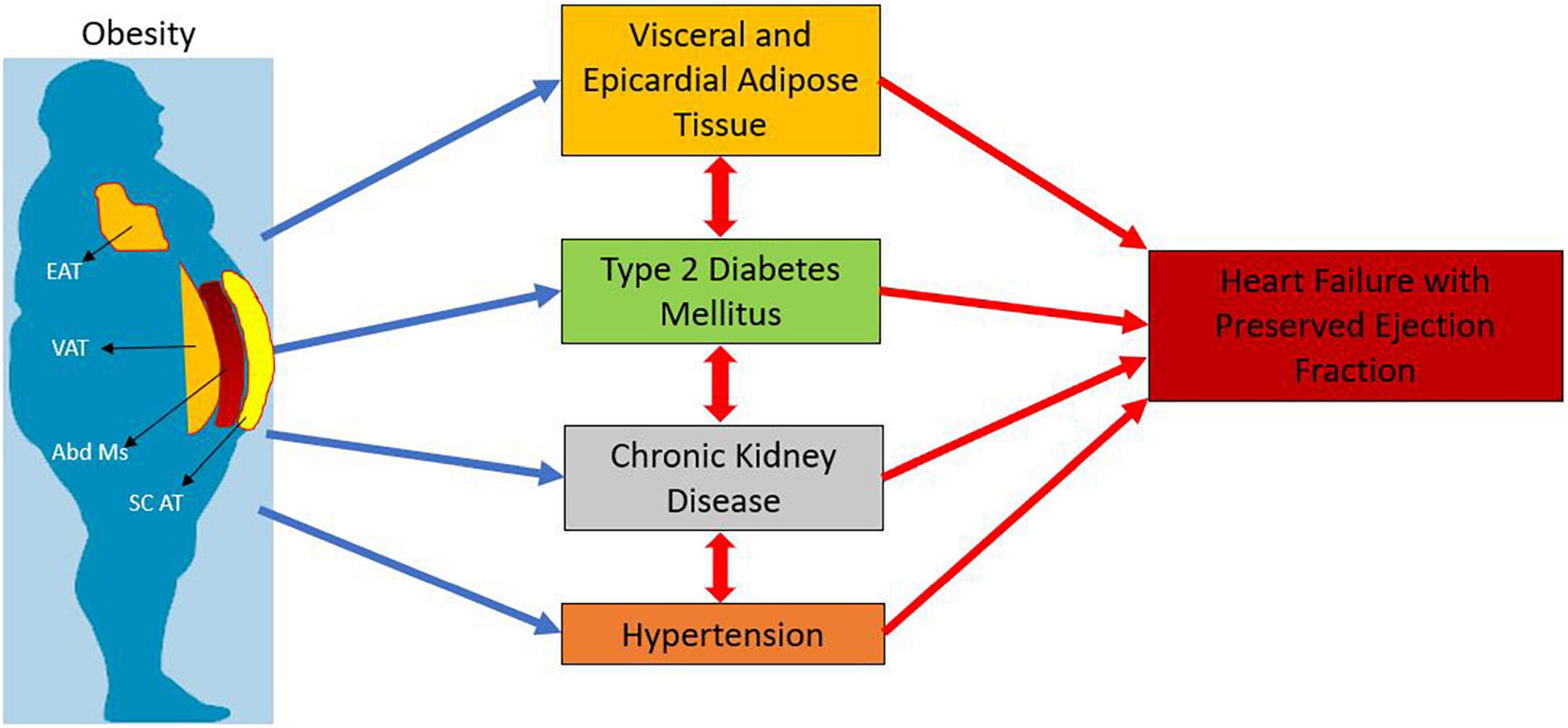 Epidemiological triad for dental disease