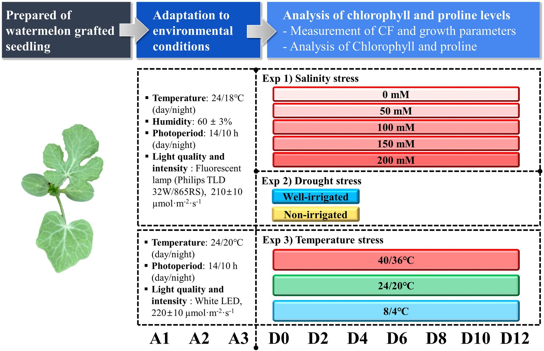 Comparison of fluorescence stability as influenced by temperature