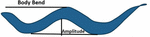 www.frontiersin.org