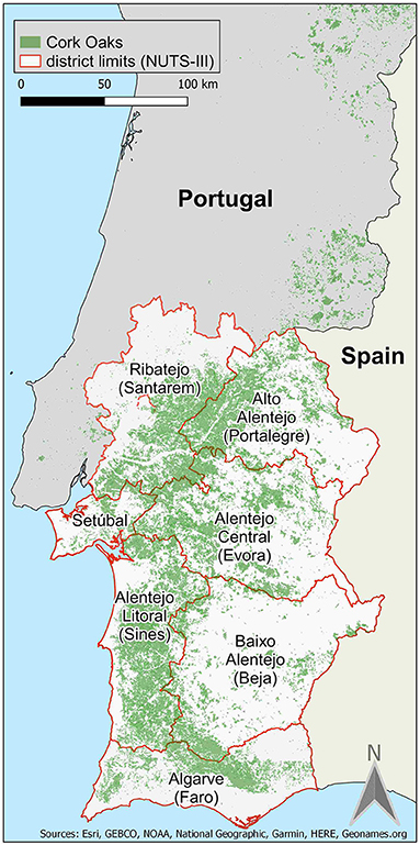 www.frontiersin.org