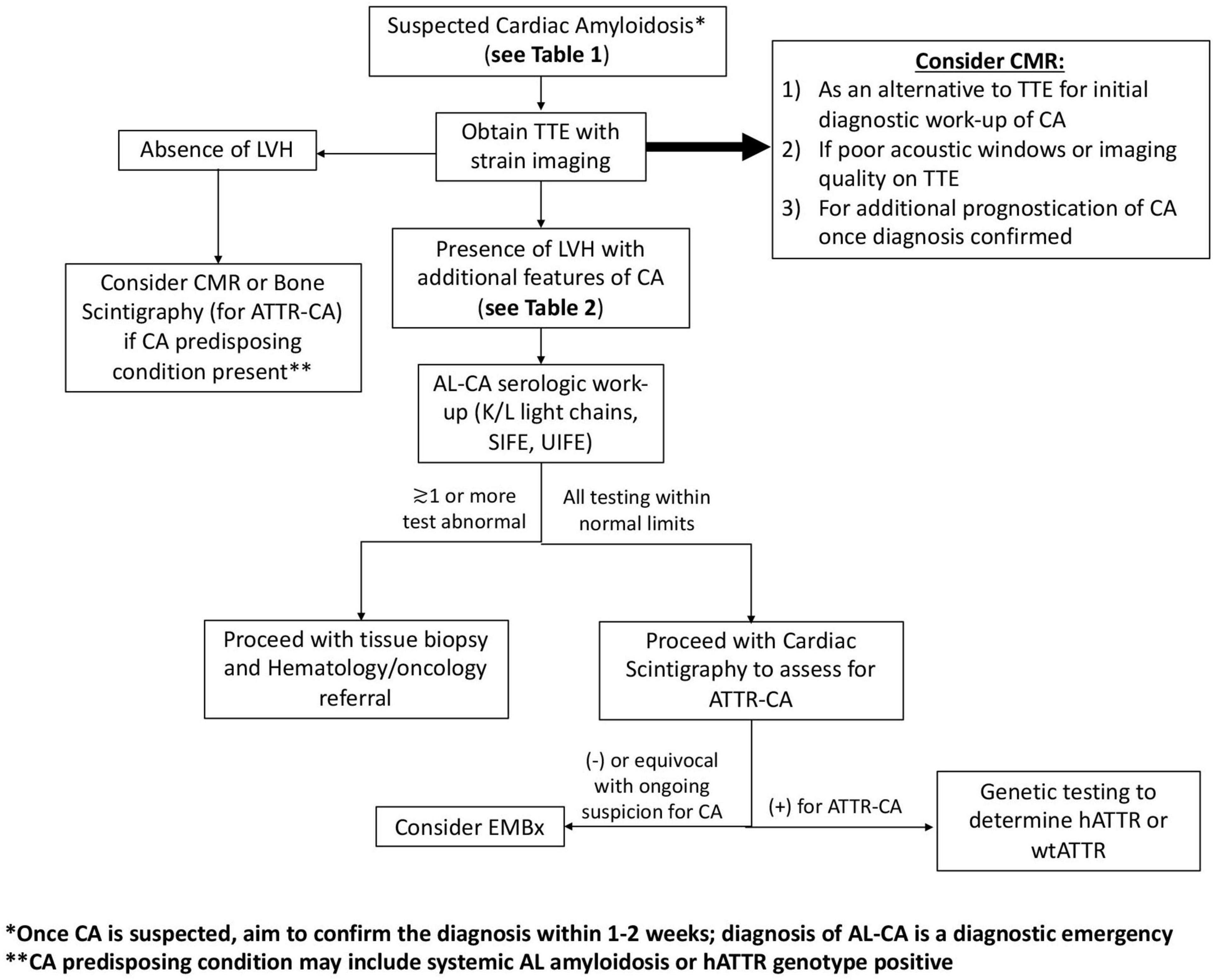 Global and Regional Variations in Transthyretin Cardiac Amyloidosis: A  Comparison of Longitudinal Strain and 99mTc-Pyrophosphate Imaging