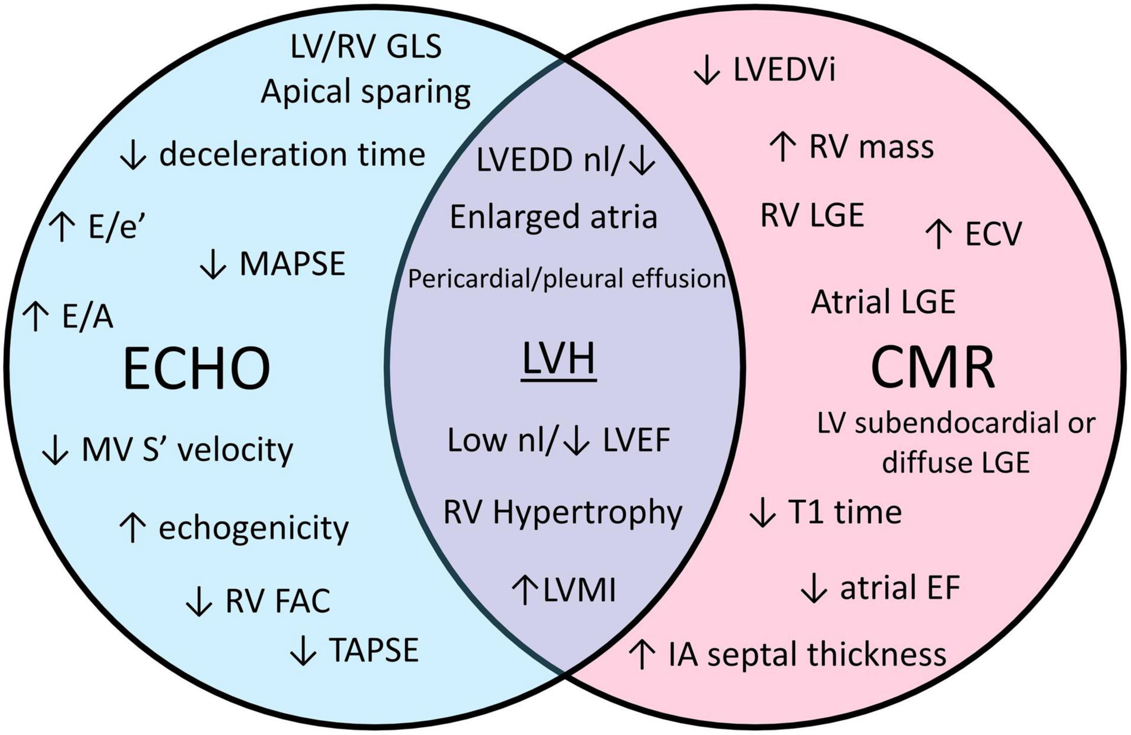 Global and Regional Variations in Transthyretin Cardiac Amyloidosis: A  Comparison of Longitudinal Strain and 99mTc-Pyrophosphate Imaging