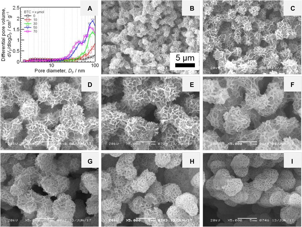 Frontiers | Synthesis of Hierarchically Porous Metal Oxide Monoliths ...