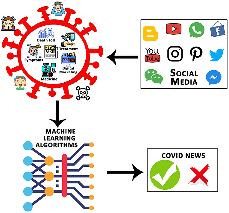 Researchers Identify Technique to Detect False Positive COVID-19 Results -  MU School of Medicine