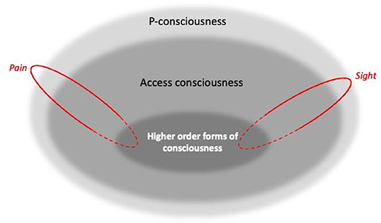 Keys to Your Brains: Plants vs. Zombies vs. Operant Conditioning