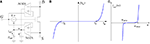 www.frontiersin.org