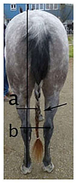 www.frontiersin.org
