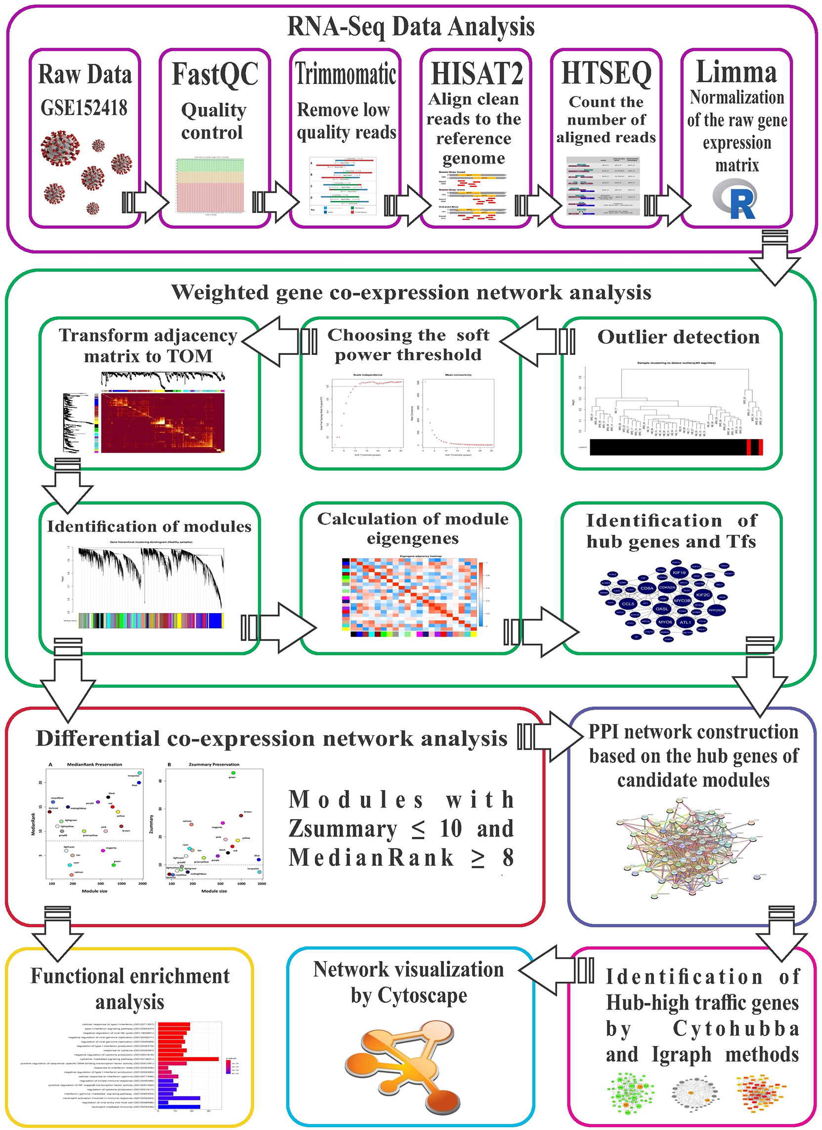 Frontiers | Differential Co-Expression Network Analysis Reveals Hub-High Traffic Genes as Potential Therapeutic Targets for COVID-19 Pandemic