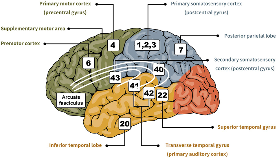 GAME BRAIN TEST 3 LEVEL 144 Walkthrough