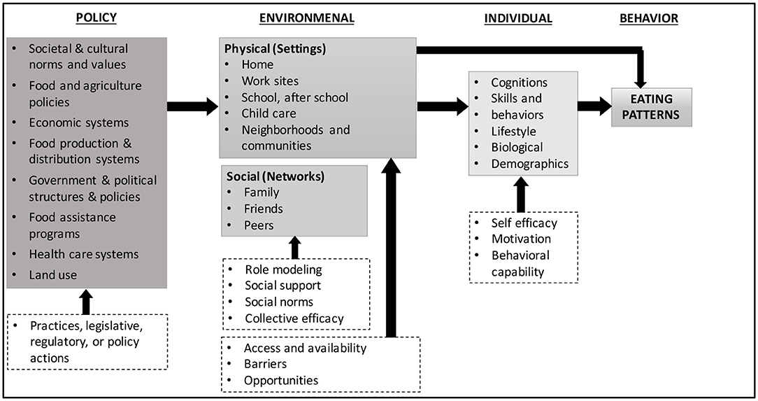 Frontiers  Design and Methods of a Participatory Healthy Eating