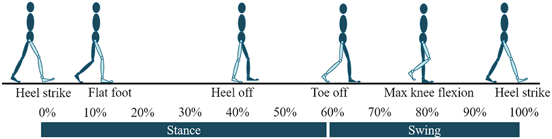 Strategies for Gait Retraining in a Collegiate Runner with Transfemoral  Amputation: A Case Report