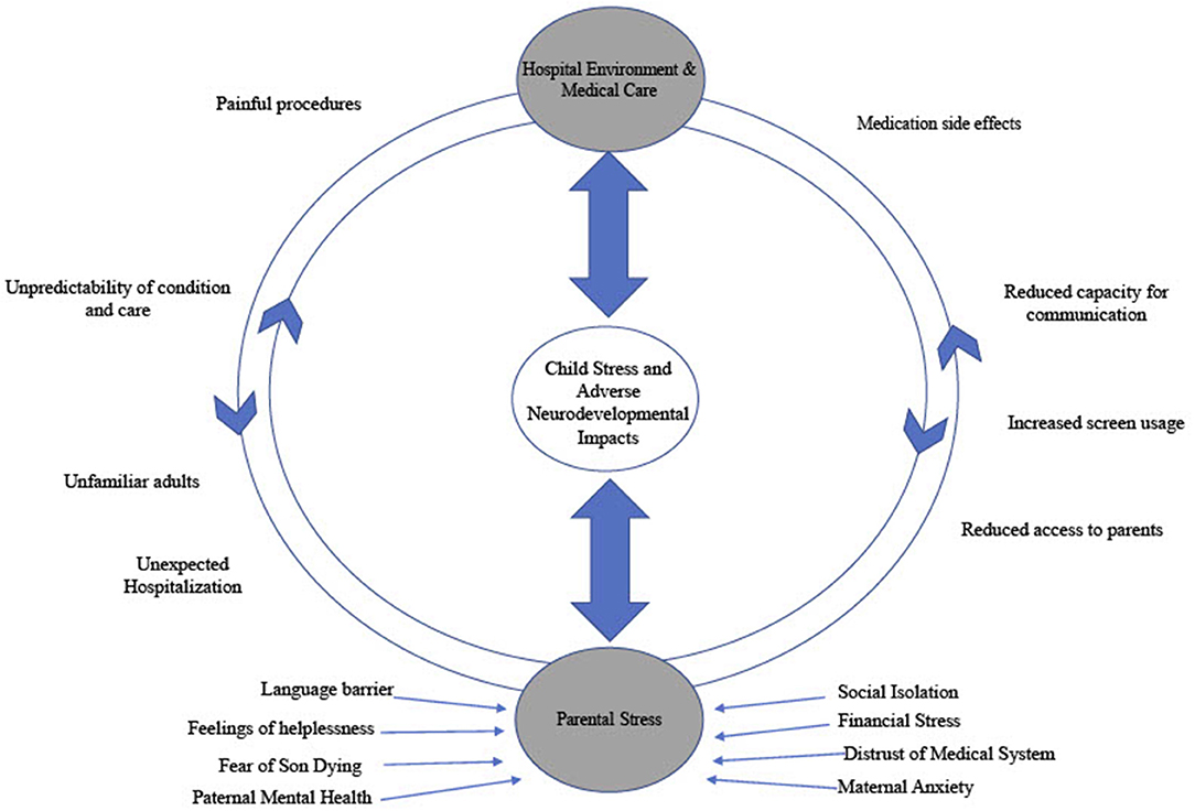 case study child with global developmental delay www.frontiersin.org