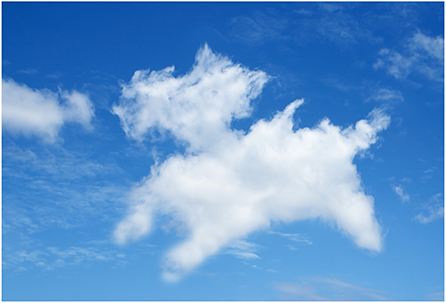 Figure 2 - Have you ever looked up at the clouds and seen fun shapes, like faces or animals?