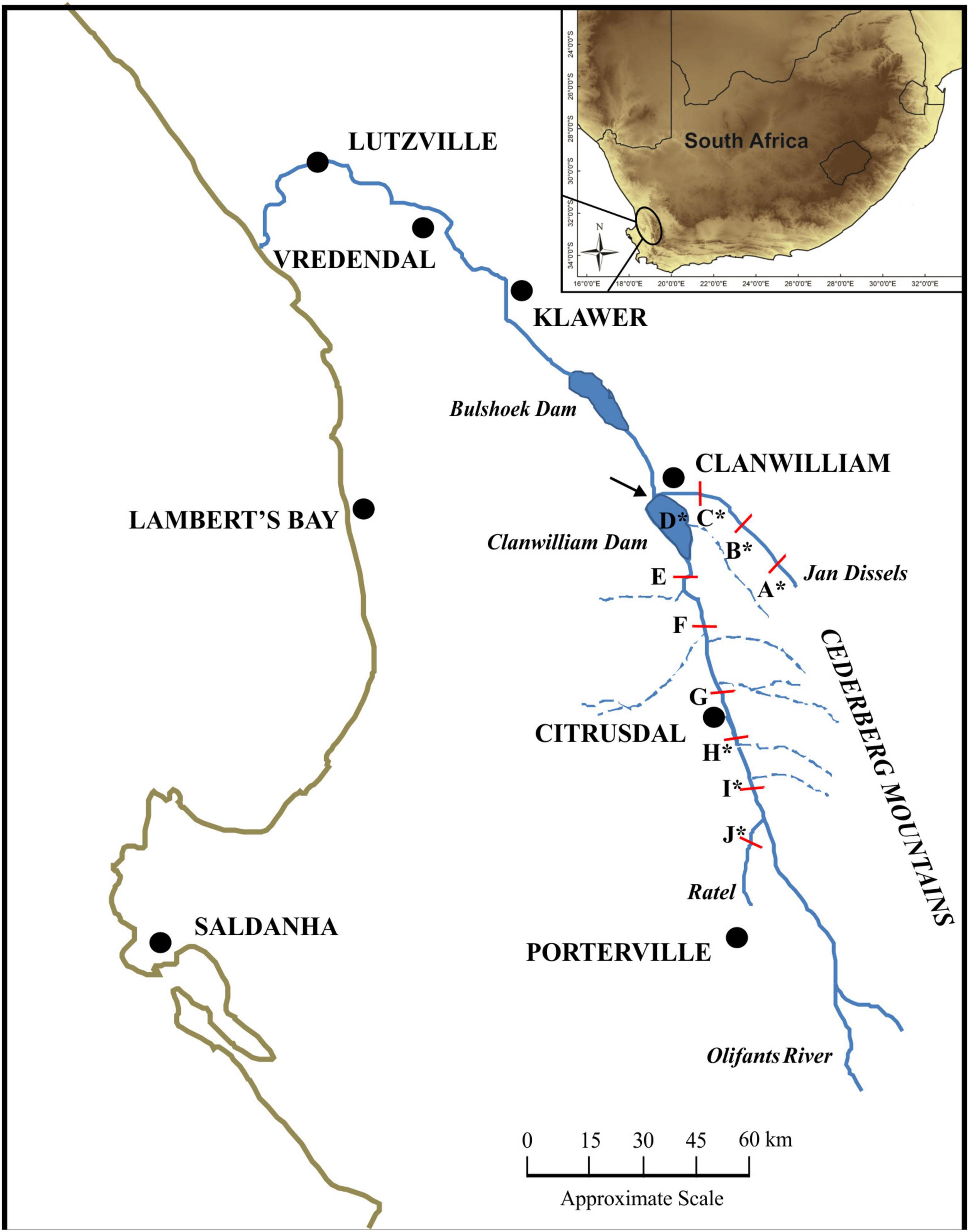 www.frontiersin.org