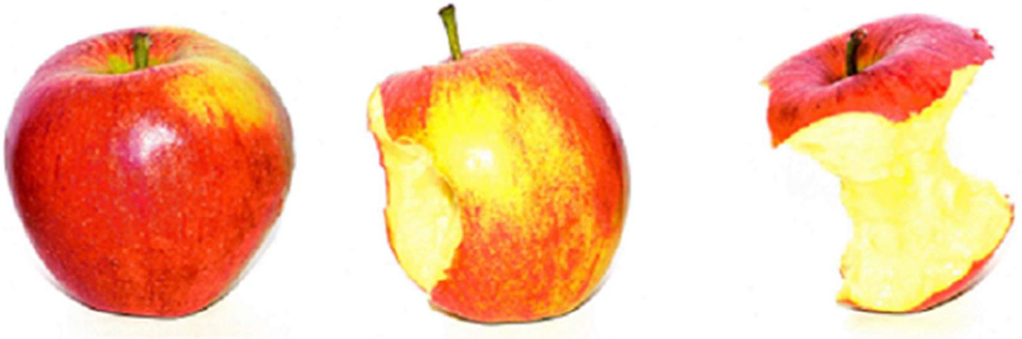 www.frontiersin.org