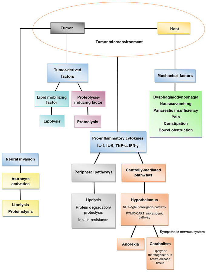 Lung cancer treatment case study