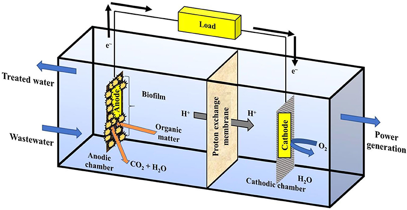 A review on the recent advances in electrochemical treatment