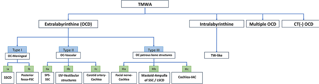 Frontiers  Audiovestibular Quantification in Rare Third Window