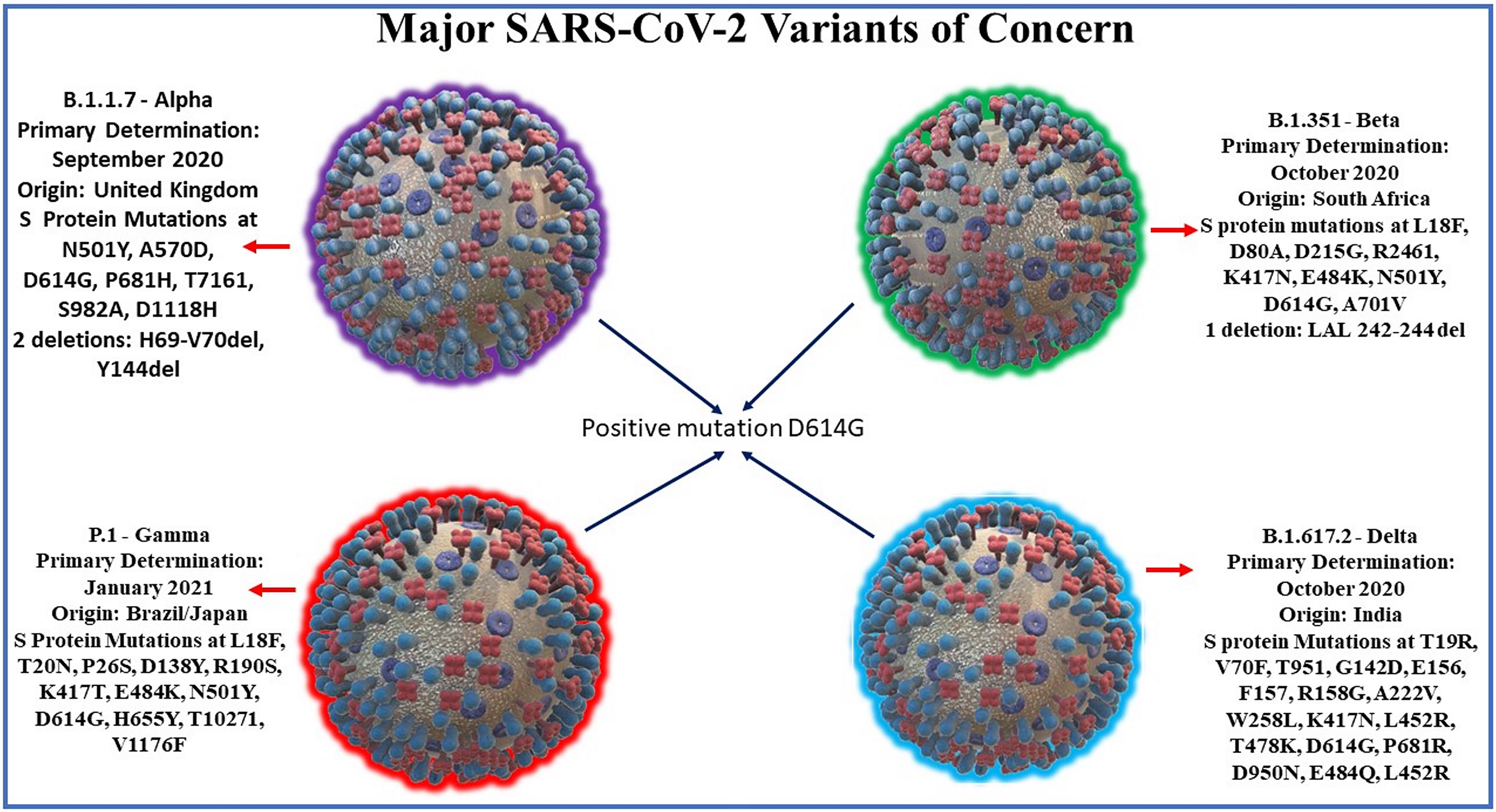 Frontiers | Experimental Models of COVID-19