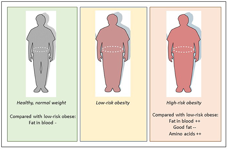 Figure 2 - Compared to low-risk obesity, high-risk obesity is characterized by higher blood levels of fat and amino acids, and lower blood levels of “good fat”.