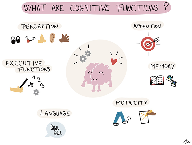 Figure 1 - Cognitive functions include perception, attention, memory, motricity (movement), language, and executive functions (the coordination of the other functions).