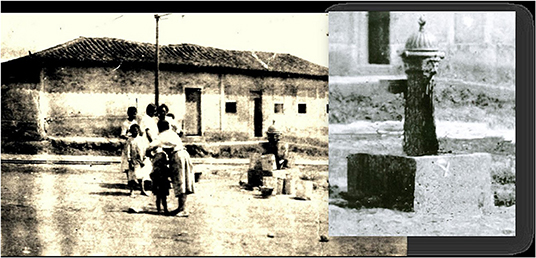 www.frontiersin.org