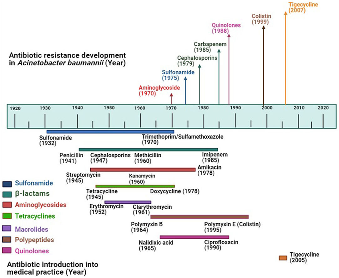 Subhashree sahu naked