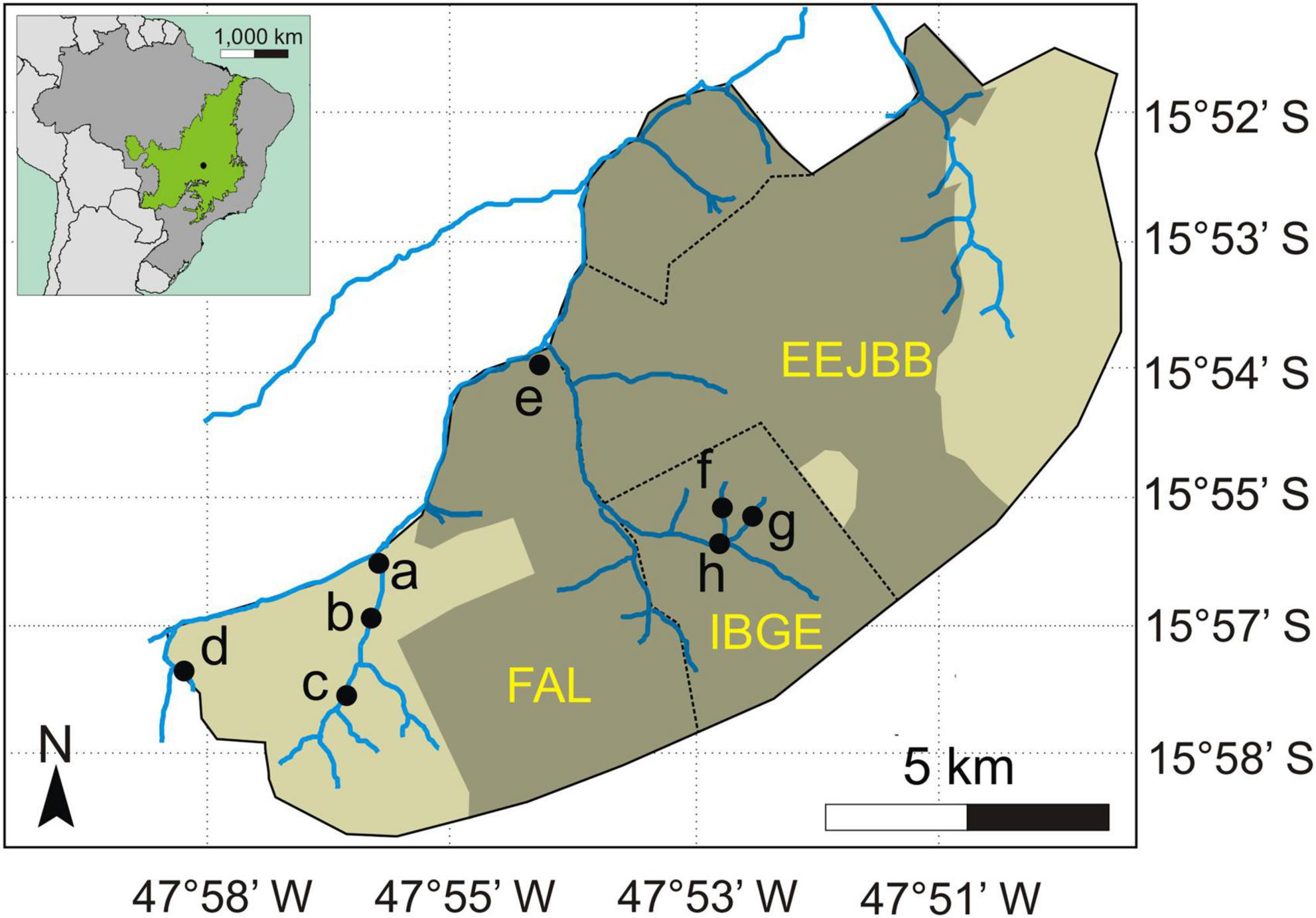 Frontiers  Fire Occurrence Mediates Small-Mammal Seed Removal of Native  Tree Species in a Neotropical Savanna