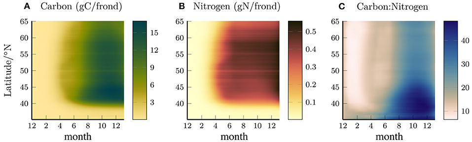 Example A, N, and C profiles from [StrongWright2022](@citet)