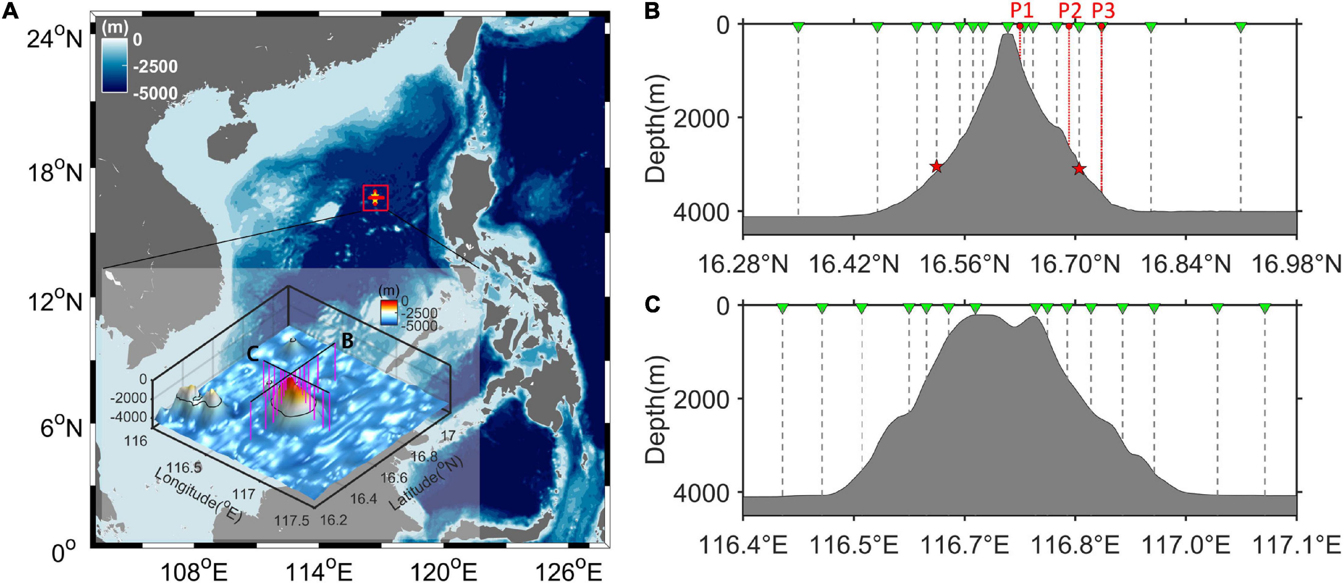 Frontiers  Circulation Driven by Multihump Turbulent Mixing Over