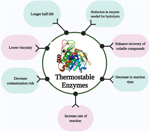 Frontiers Thermostable Cellulases Xylanases From Thermophilic