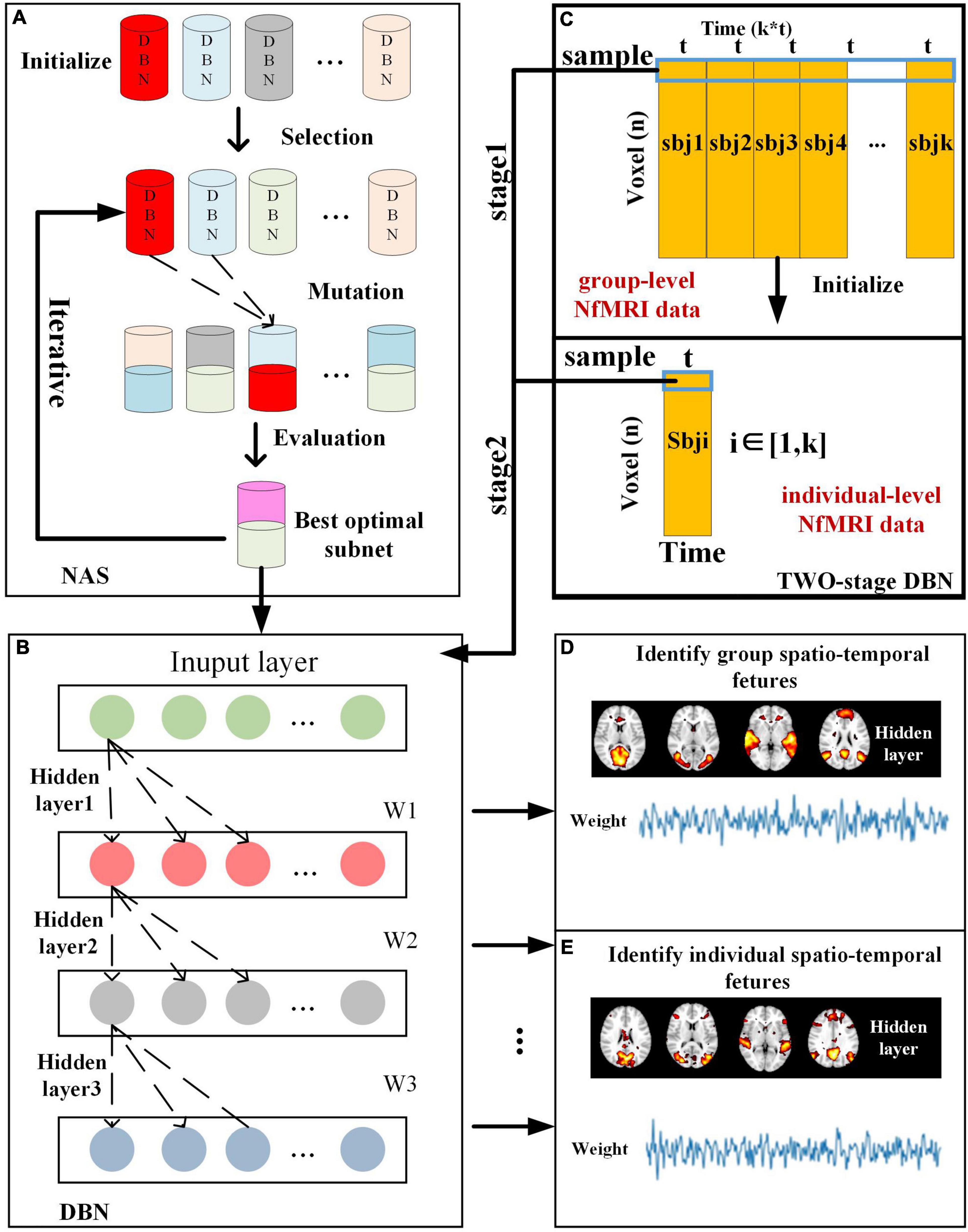 Frontiers | Hierarchical Spatio-Temporal Modeling of Naturalistic  Functional Magnetic Resonance Imaging Signals via Two-Stage Deep Belief  Network With Neural Architecture Search