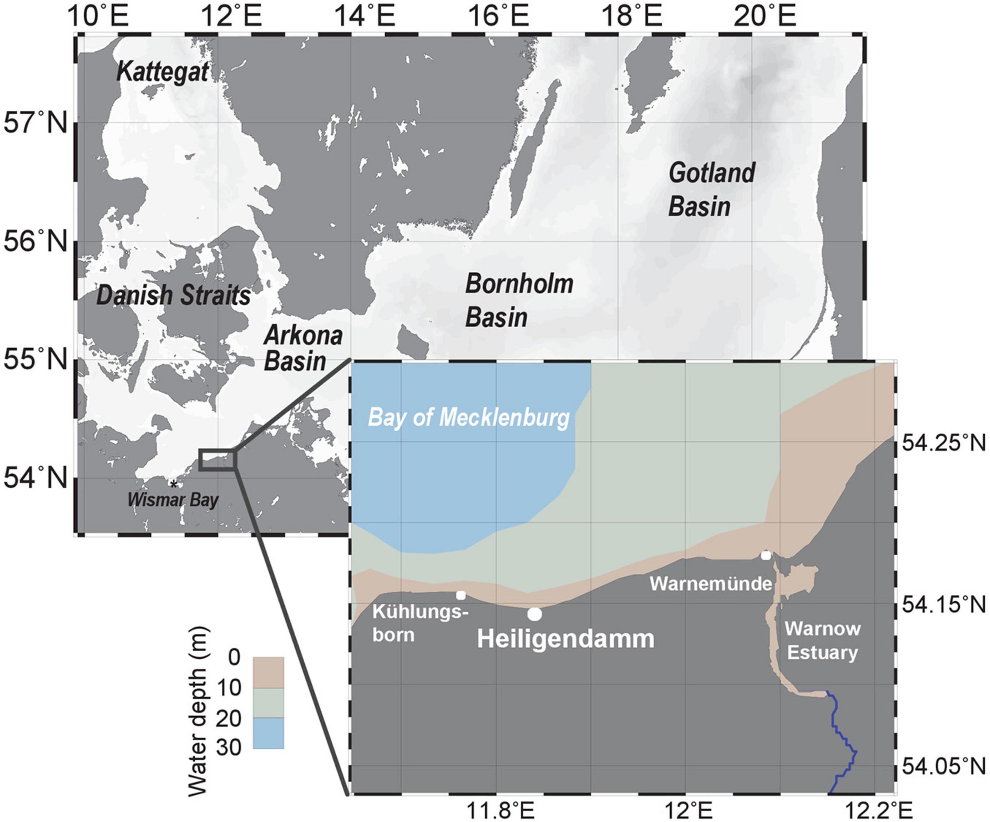 Frontiers | Nearshore Dissolved and Particulate Organic Matter