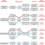 www.frontiersin.org