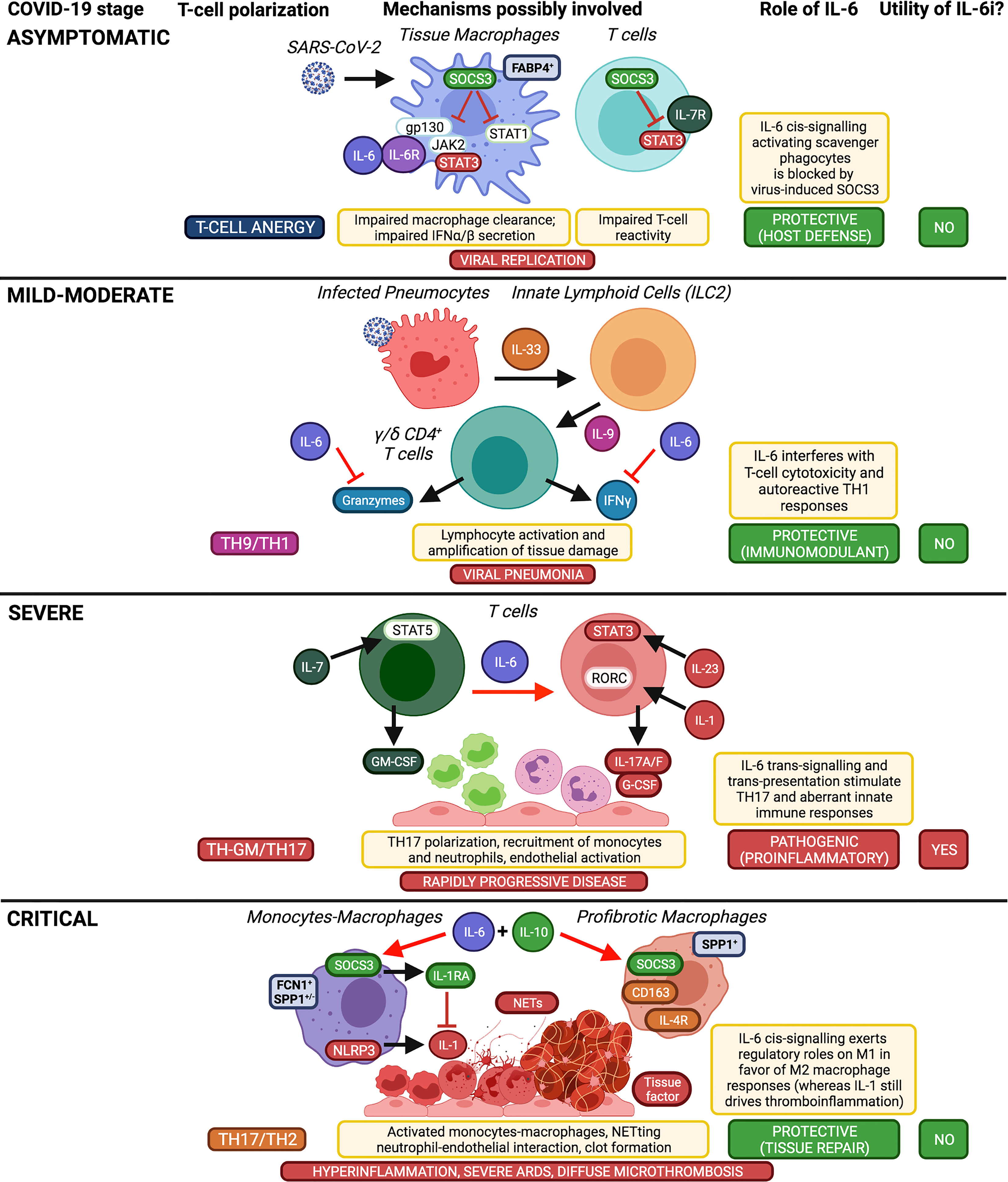 Experience With the Use of Baricitinib and Tocilizumab Monotherapy or  Combined, in Patients With Interstitial Pneumonia Secondary to Coronavirus  COVID19: A Real-World Study