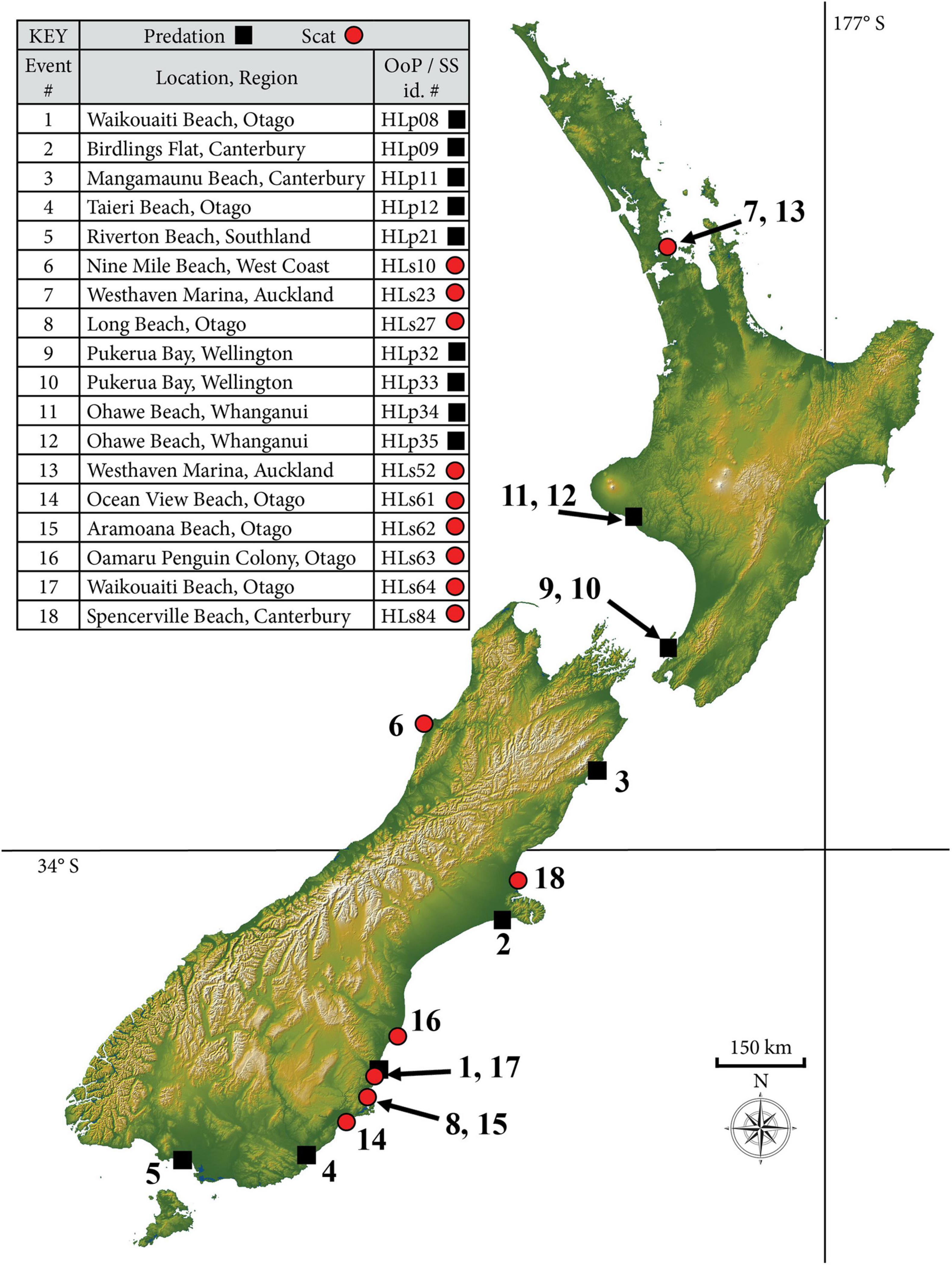 Frontiers | Leopard Seals (Hydrurga leptonyx) in New Zealand Waters  Predating on Chondrichthyans