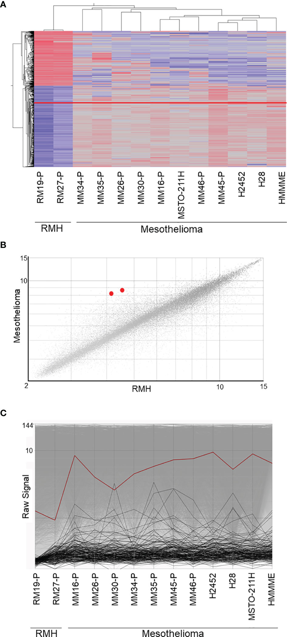 Frontiers | Insulin-Like Growth Factor 2 mRNA Binding Protein 3 