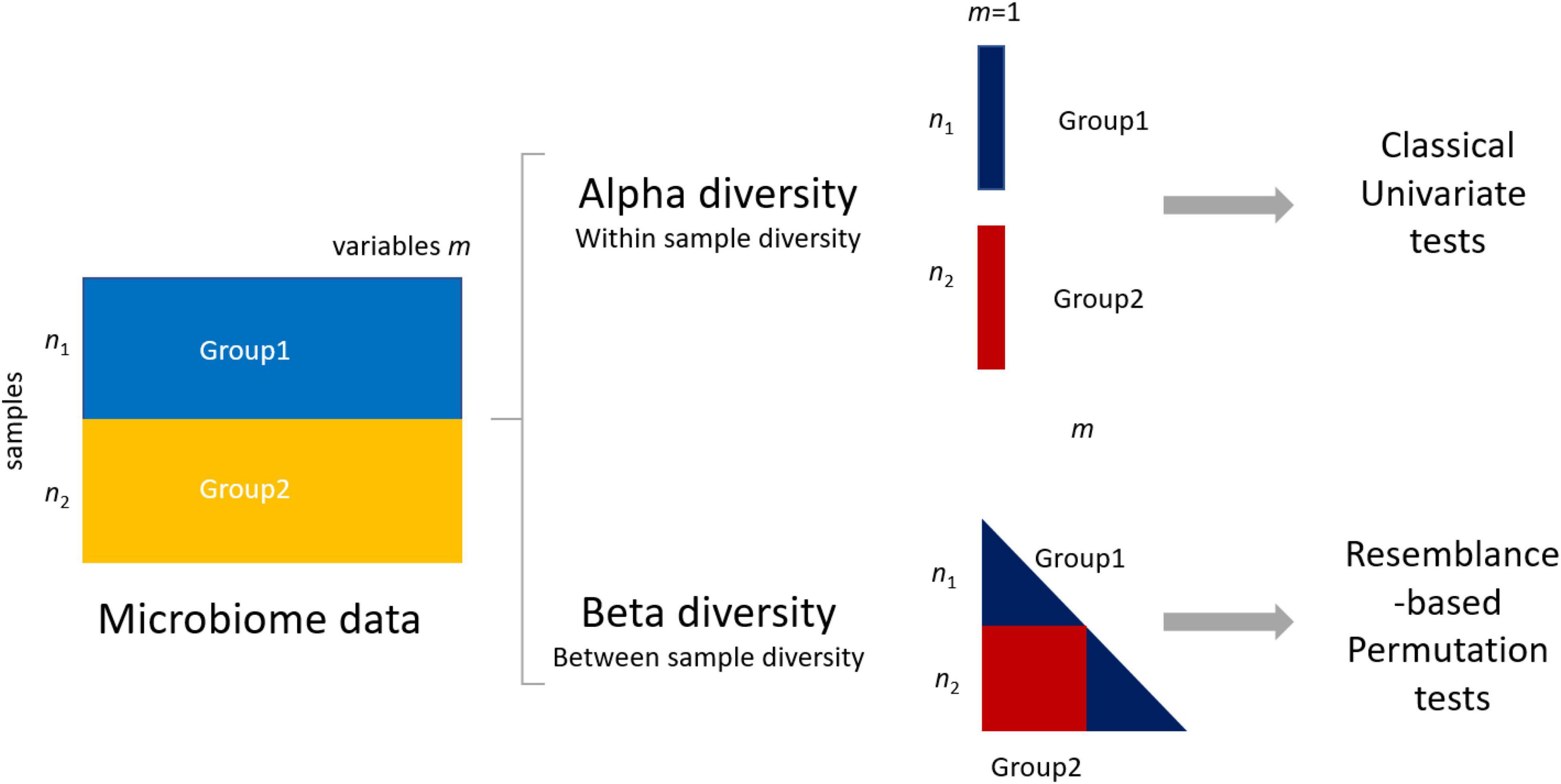 Frontiers | The Power of Microbiome Studies: Some Considerations on Which  Alpha and Beta Metrics to Use and How to Report Results