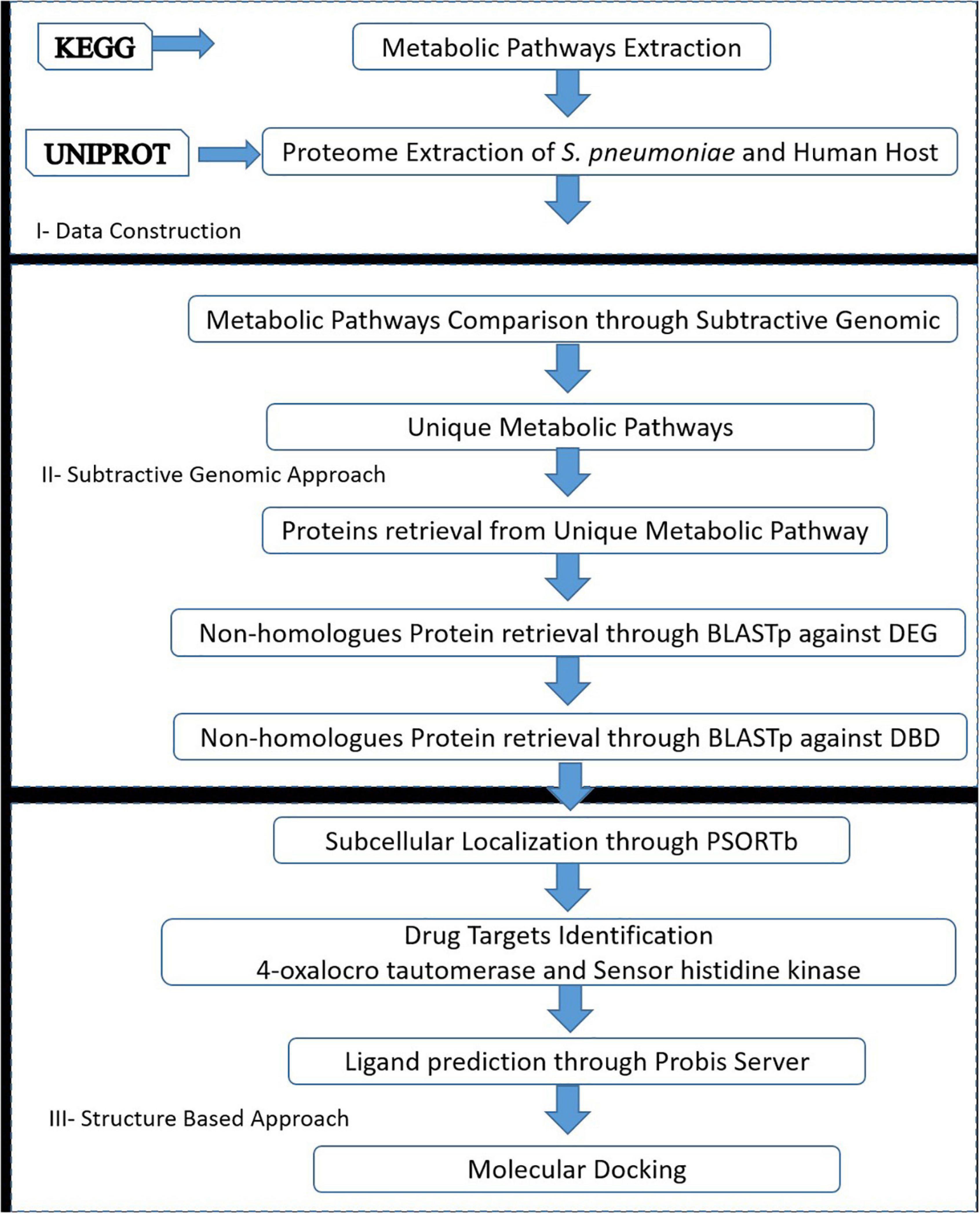 Frontiers Comparative Metabolic Pathways Analysis And Subtractive Genomics Profiling To Prioritize Potential Drug Targets Against Streptococcus Pneumoniae