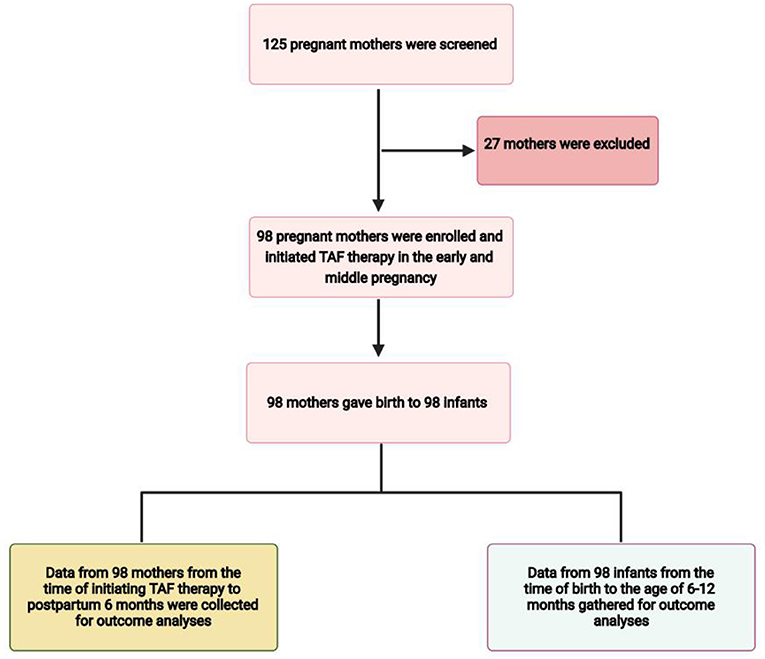 Pre Pregnancy Counseling in India