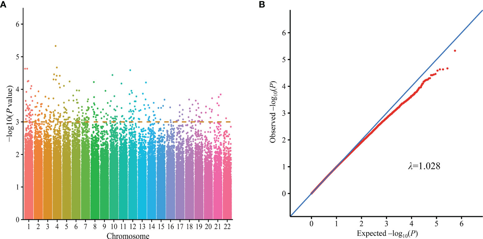 Frontiers | Integrating RNA-Seq With GWAS Reveals a Novel SNP in 