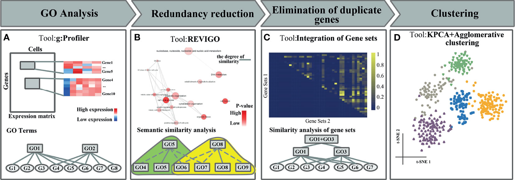 Frontiers  A Novel Single-Cell RNA Sequencing Data Feature