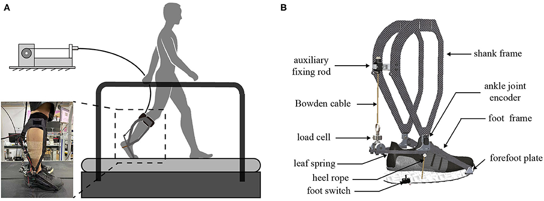 Biomechanics under the microscope: increase your running speed