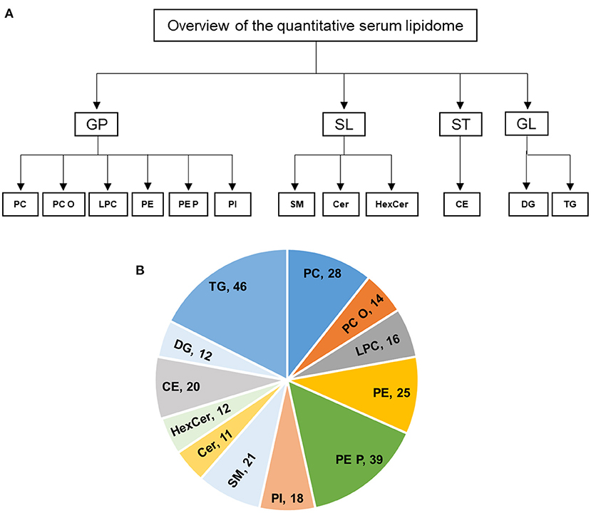 Frontiers  Novel Imaging and Genetic Risk Markers in Takotsubo Syndrome