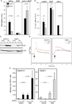 www.frontiersin.org