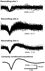 www.frontiersin.org