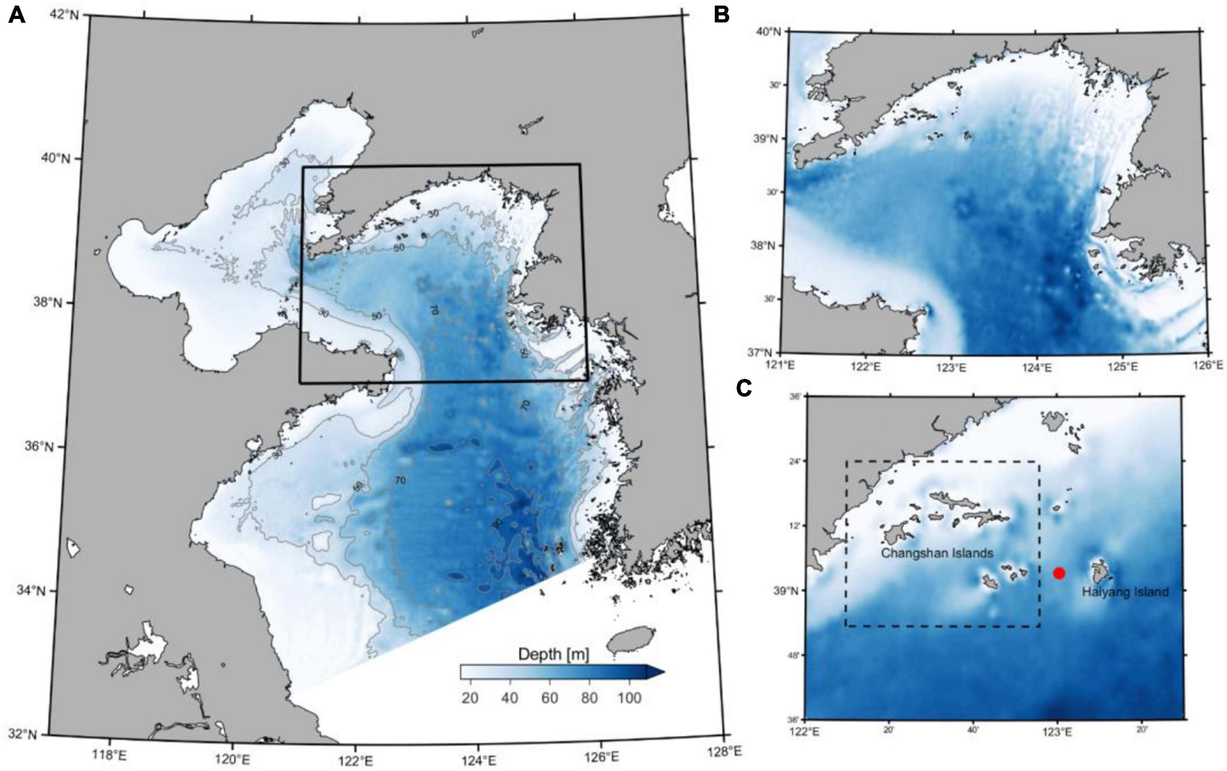 Full article: Different Generating Mechanisms for the Summer Surface Cold  Patches in the Yellow Sea