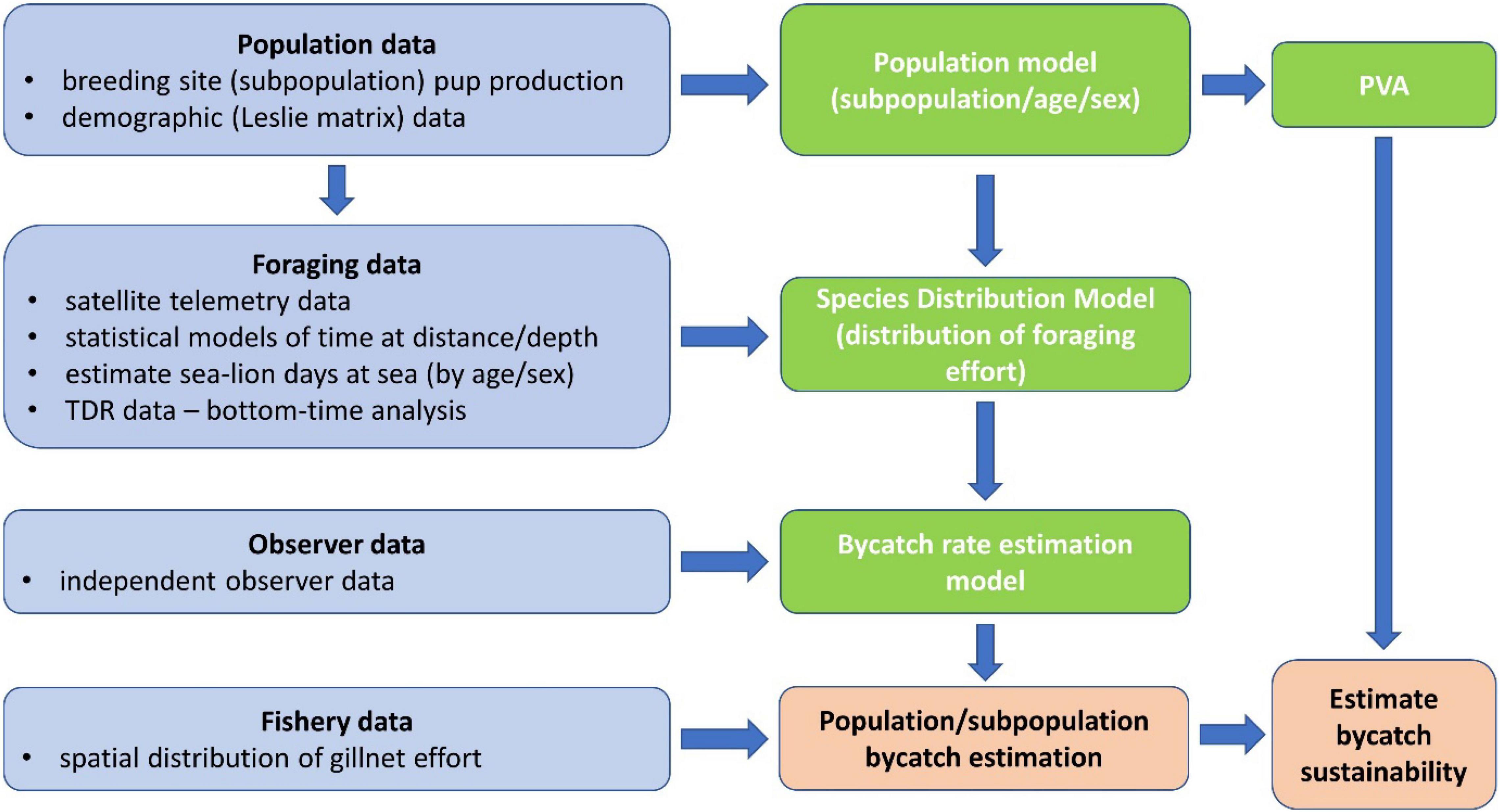 Frontiers  Assessment of Australian Sea Lion Bycatch Mortality in a Gillnet  Fishery, and Implementation and Evaluation of an Effective Mitigation  Strategy