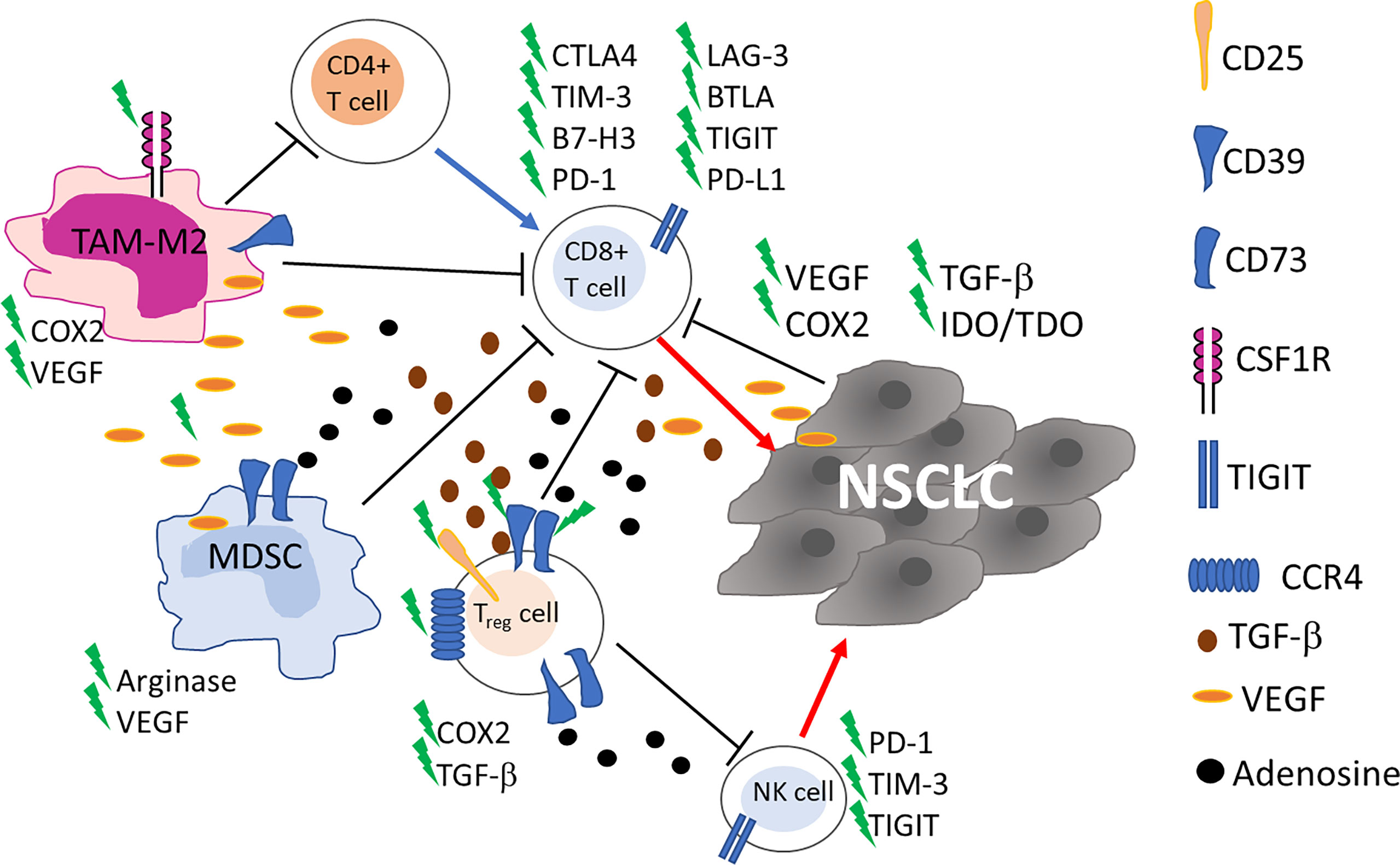 Cellular heterogeneity and immune microenvironment revealed by